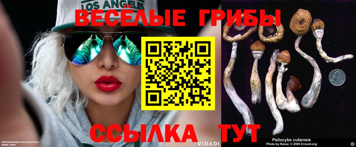 Галлюциногенные грибы ЛСД Ленинск-Кузнецкий